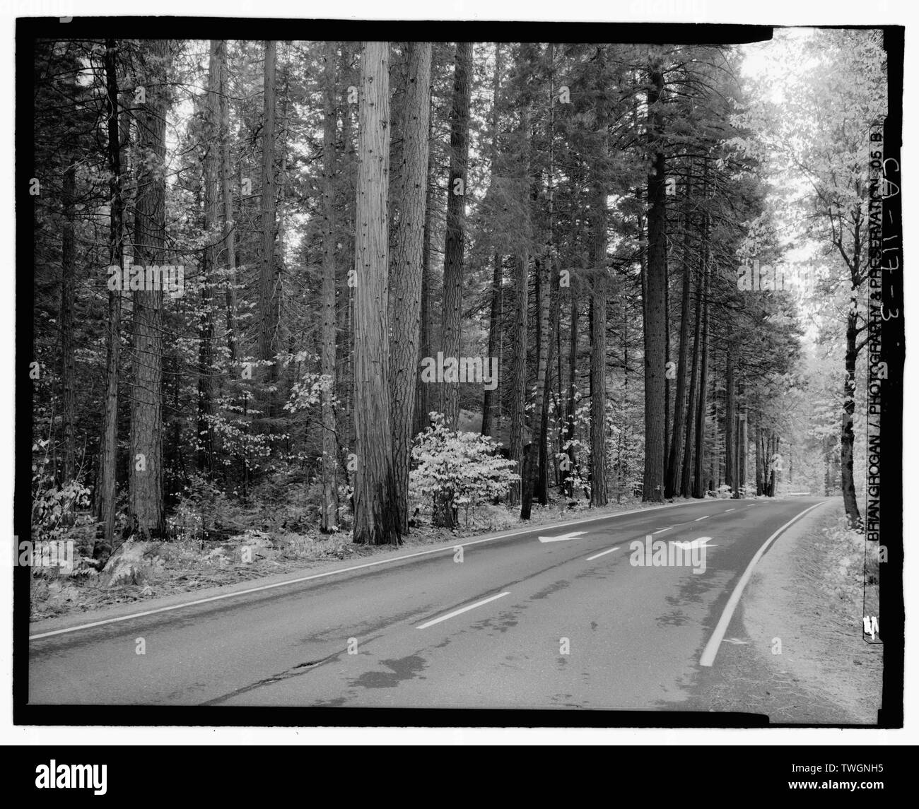 Vista su strada sul lato sud di auto da strada affluenza vicino GUNSITE. Cerca WSW. GIS- N-37 43 16.8 - W-119 38 24.2 - Parco Nazionale di Yosemite strade e ponti, il Villaggio di Yosemite, Mariposa County, CA Foto Stock