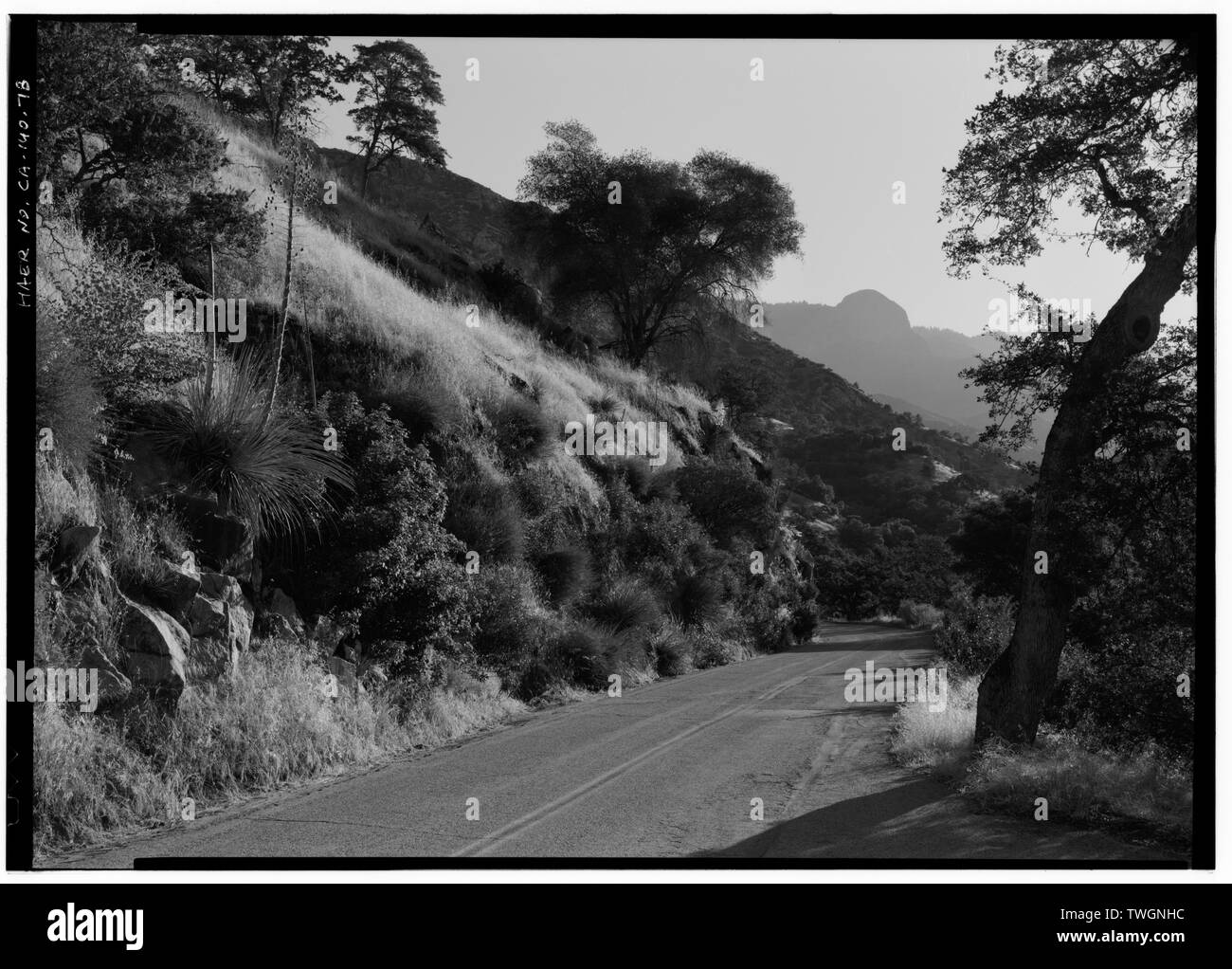 Vista stradale rivolto a nord. MORO ROCK IN DISTANZA - Generals Highway, tre fiumi, Tulare County, CA Foto Stock
