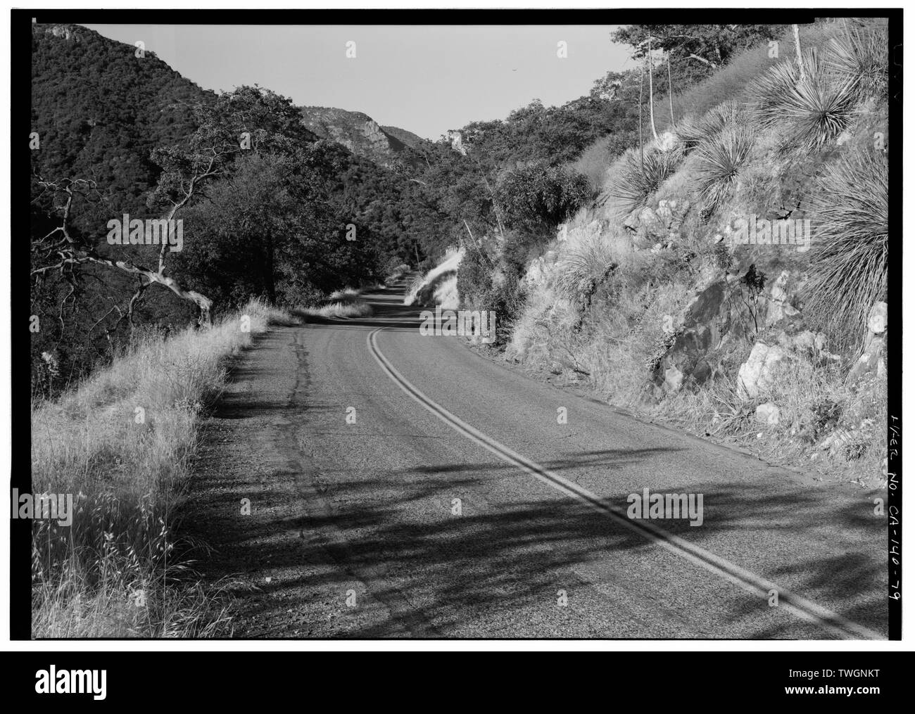 Vista su strada, rivolta a sud - autostrada generali, tre fiumi, Tulare County, CA Foto Stock