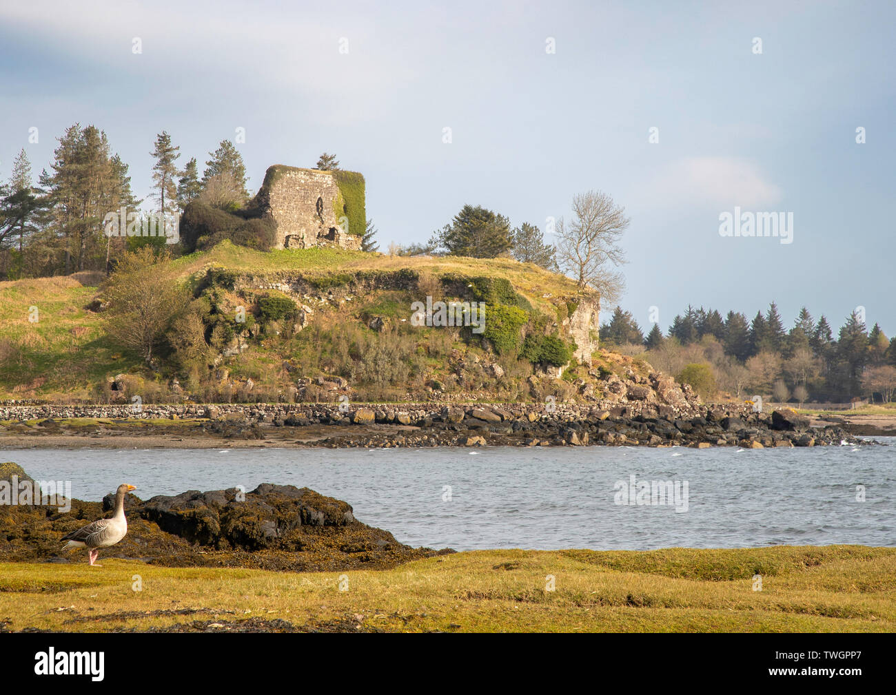 Il castello di Aros dal lato Salen, Mull, Ebridi, Scozia Foto Stock