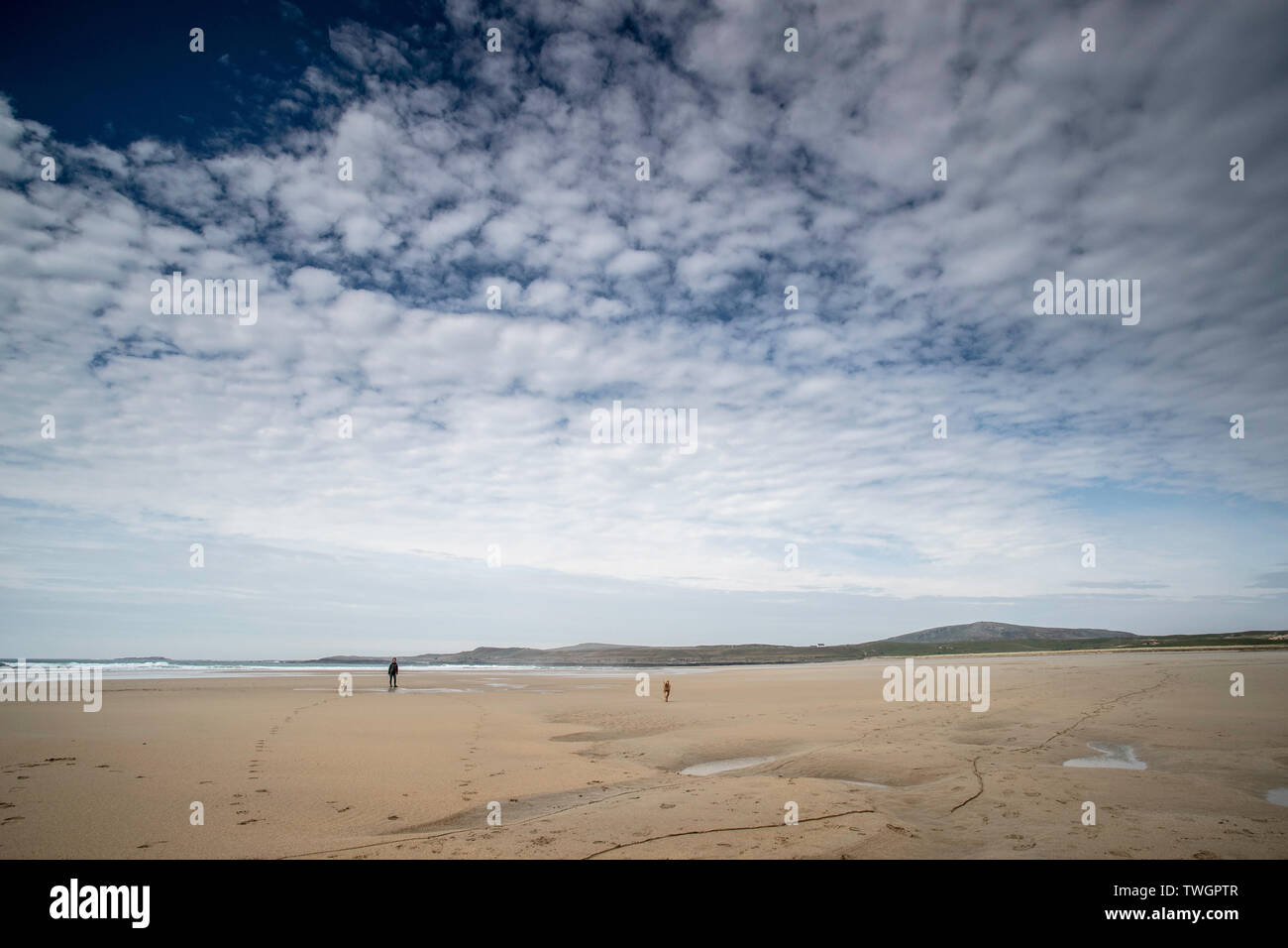 Lone dog-walker e cane su una spiaggia deserta di Sun Foto Stock