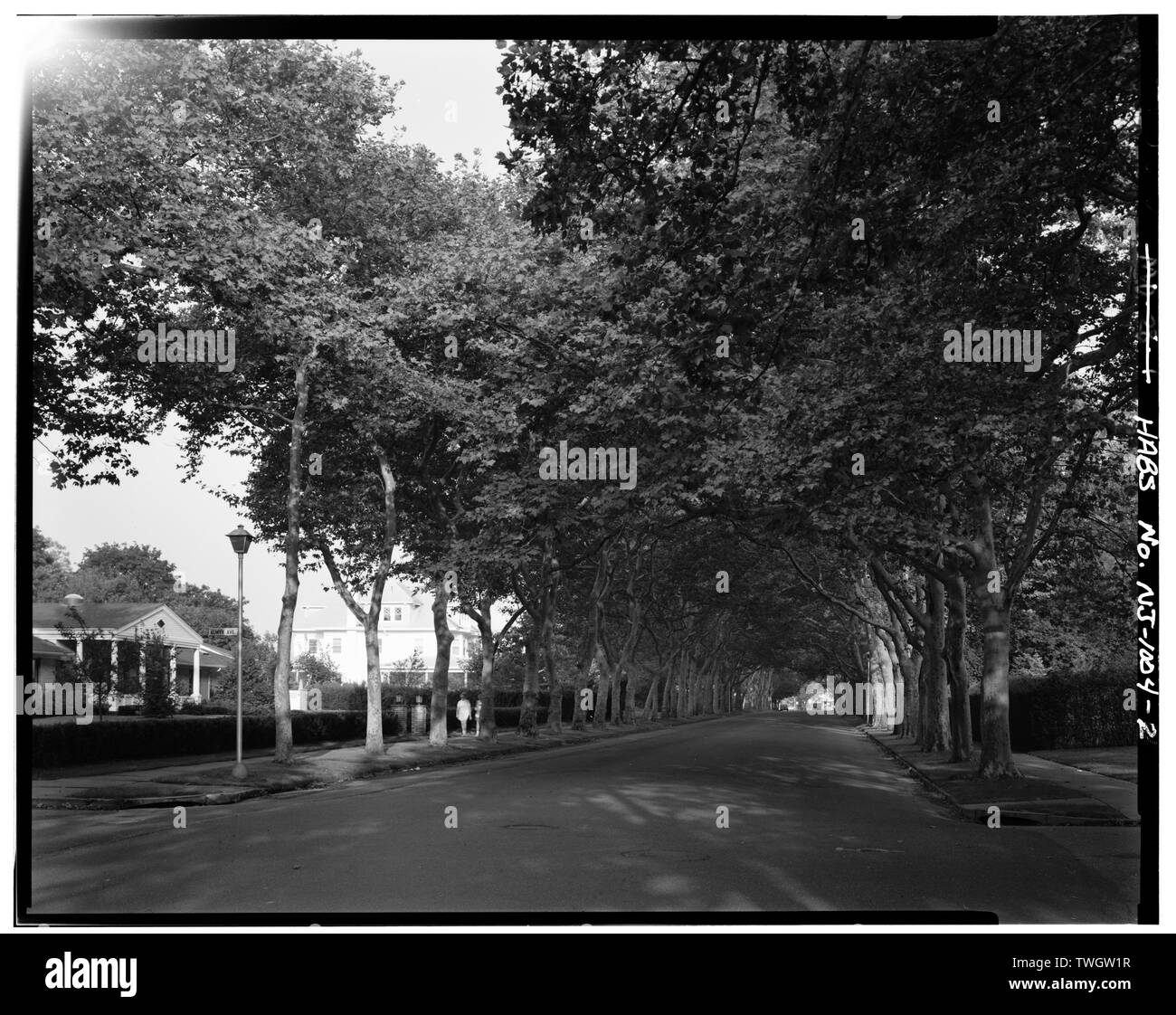 ROOSEVELT AVENUE, vista generale guardando ad ovest - Comune di trattativa, Statale Route 71, a nord di Allenhurst, trattare, Monmouth County NJ Foto Stock