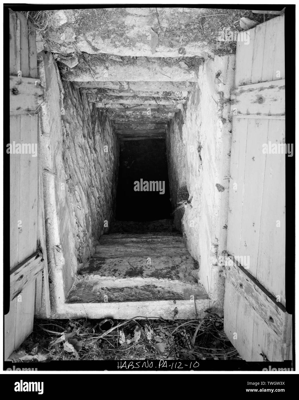 Cantina di root, DETTAGLIO DI INGRESSO - Isaac Stamm House, Gruber Road (Penn Township), Mount Pleasant, Berks County, PA Foto Stock