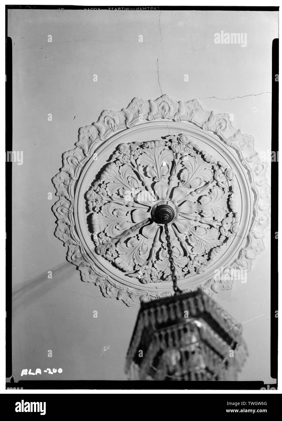 Storici edifici americano Sondaggio Alex Bush, fotografo, Novembre 14, 1936 ROSETTE salotto sul soffitto - Cedar Grove, Uniontown Road, Faunsdale, Marengo County, AL Foto Stock
