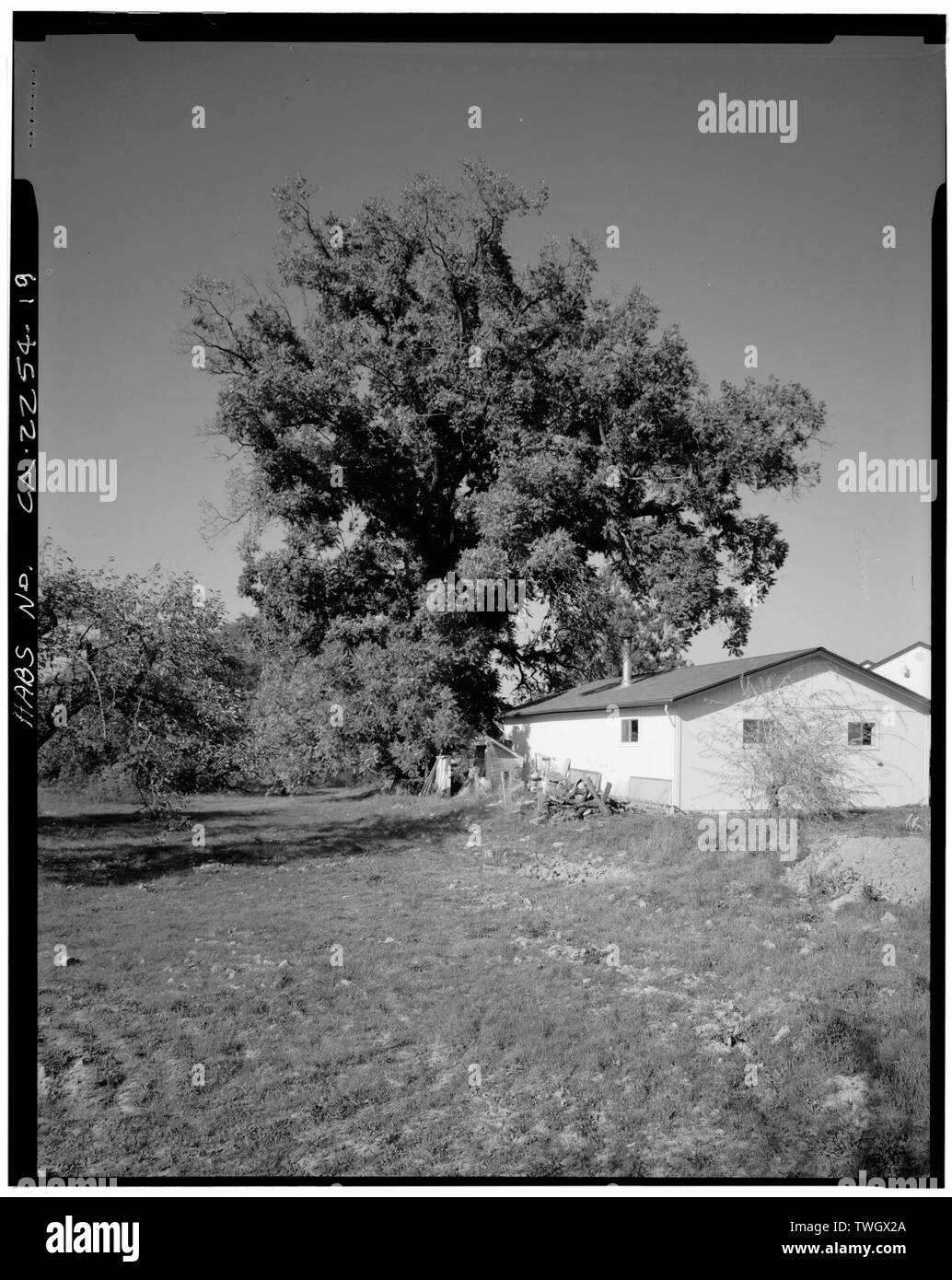 ROYAL noce. Capannone per il rimessaggio parte dell'alloggiamento di sviluppo. Ovest linea di proprietà adiacente alla struttura ad albero e corre lungo il lato del capannone. Guardando a Nord e leggermente est dalla proprietà contigua. - Gold Ridge Farm, 7777 Bodega Avenue, Sebastopol, Sonoma County, CA Foto Stock