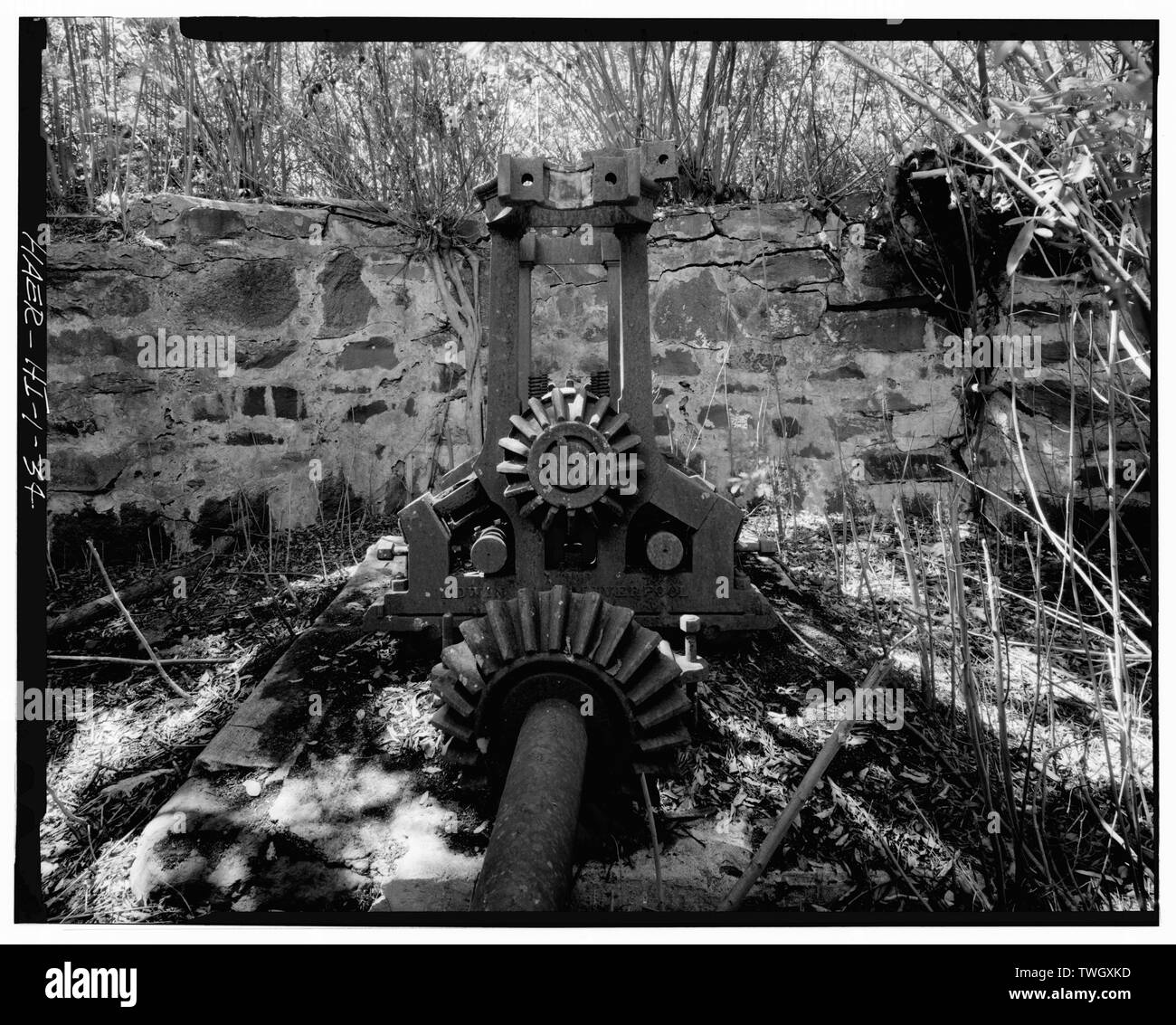 RW Meyer Sugar Mill- 1876-1889. Tre-roll mulino per lo zucchero, l'uno-tonnellata ogni giorno la capacità di trasformazione. Fabbricato da Edwin Maw, Liverpool, in Inghilterra, ca. 1855-1870. Visualizza- vista laterale del mulino. albero verticale di comando giacente sul terreno in primo piano. Quando albero di azionamento è in posizione verticale e il suo ingranaggio conico è stata ingranata con la ruota dentata conica del rullo superiore, trasmettendo gli animali'moto circolare intorno all'albero di trasmissione per i cilindri orizzontali. La fondazione è di cemento portland. Il legname pesante mill letto, tra il mulino e il cemento portland foundation ha rotolato via. - R. W. Meyer mulino per lo zucchero, Statale Route 47, Ku Foto Stock