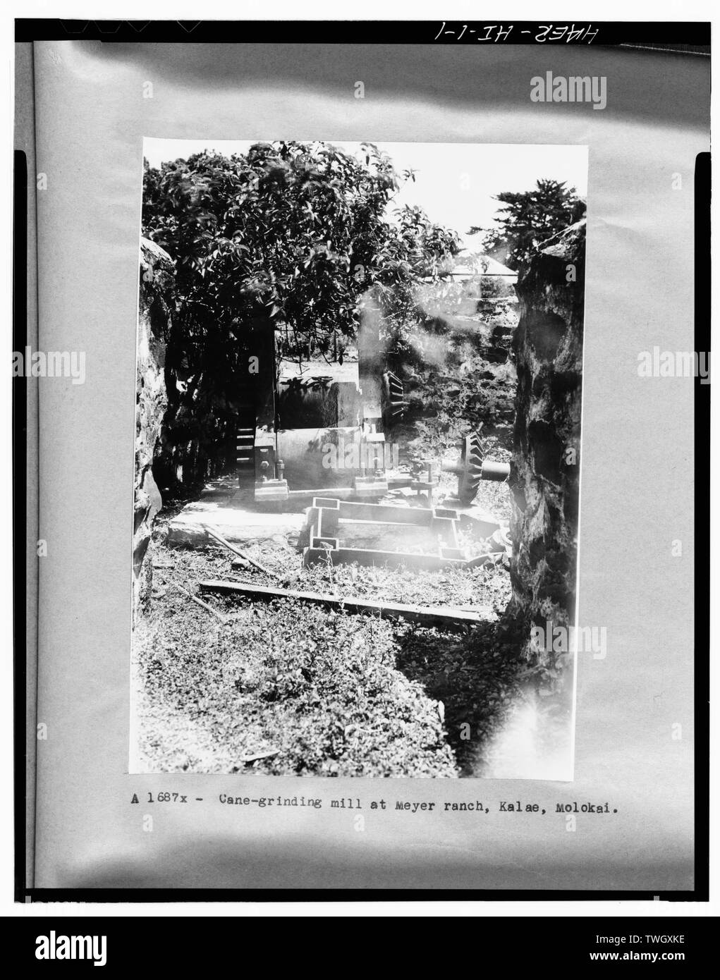 RW Meyer Sugar Mill- 1876-1889. Tre-roll sugar mill- uno-tonnellata ogni giorno la capacità di trasformazione. Fabbricato da Edwin Maw, Liverpool, in Inghilterra, ca. 1855-1870. Visualizza- vista storica, 1934, dalla T.T. Collezione Waterman, Hawaiian piantatori di zucchero' Association. Grande pezzo rettangolare giacente nella parte anteriore del mulino è la parte superiore del telaio del mulino che figurano nel suo giusto posto nel 1928 opinioni. - R. W. Meyer mulino per lo zucchero, Statale Route 47, Kualapuu, Maui County, HI Foto Stock