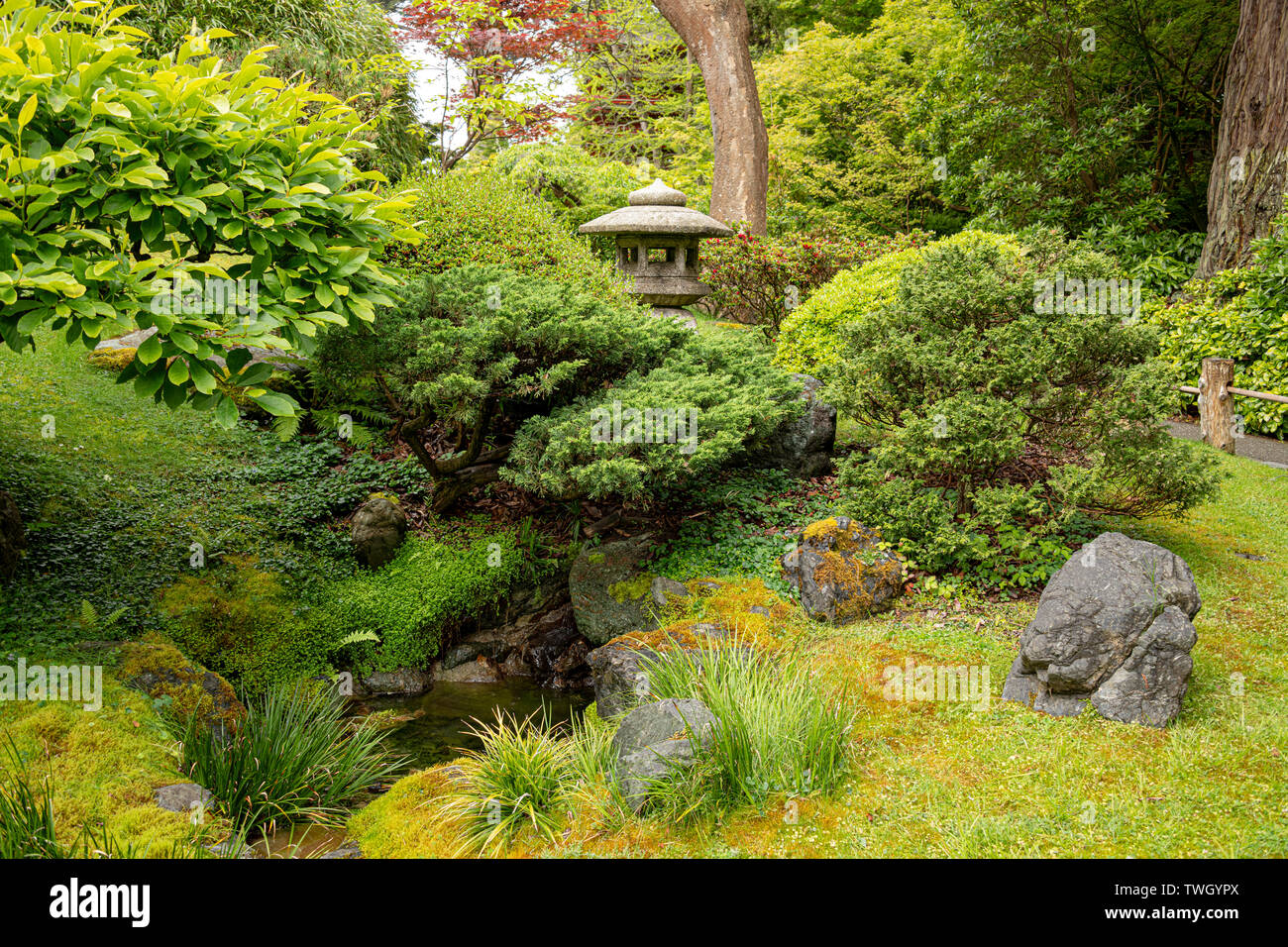 Golden Gate Park giardino giapponese del tè Foto Stock