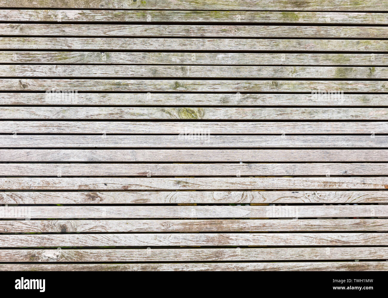 Doghe in legno colore naturale, pavimento o parete, strisce orizzontali, texture, sfondo Foto Stock