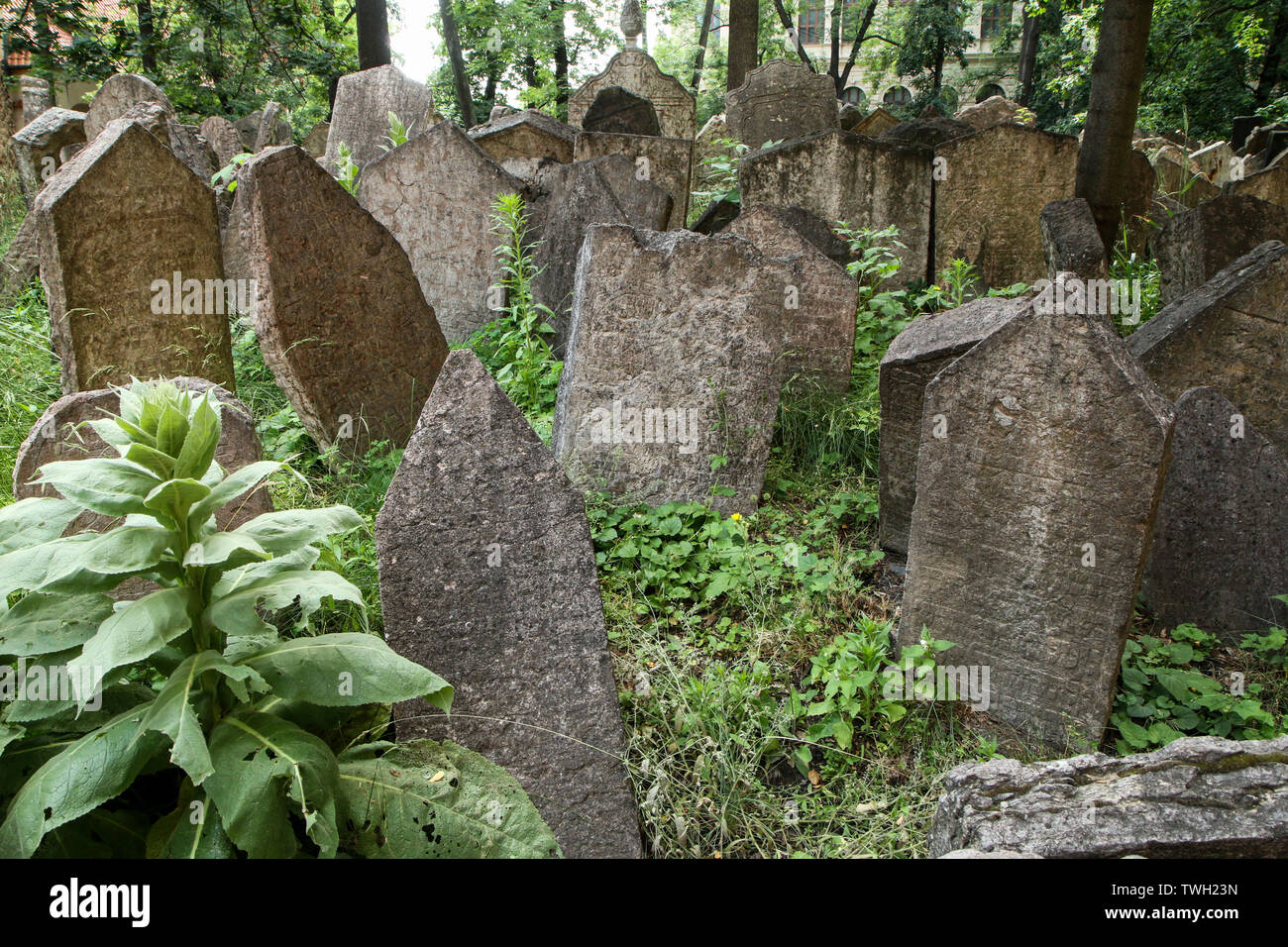 Il molto vecchio cimitero ebraico con un sacco di squallido lapidi di pietra. Foto Stock