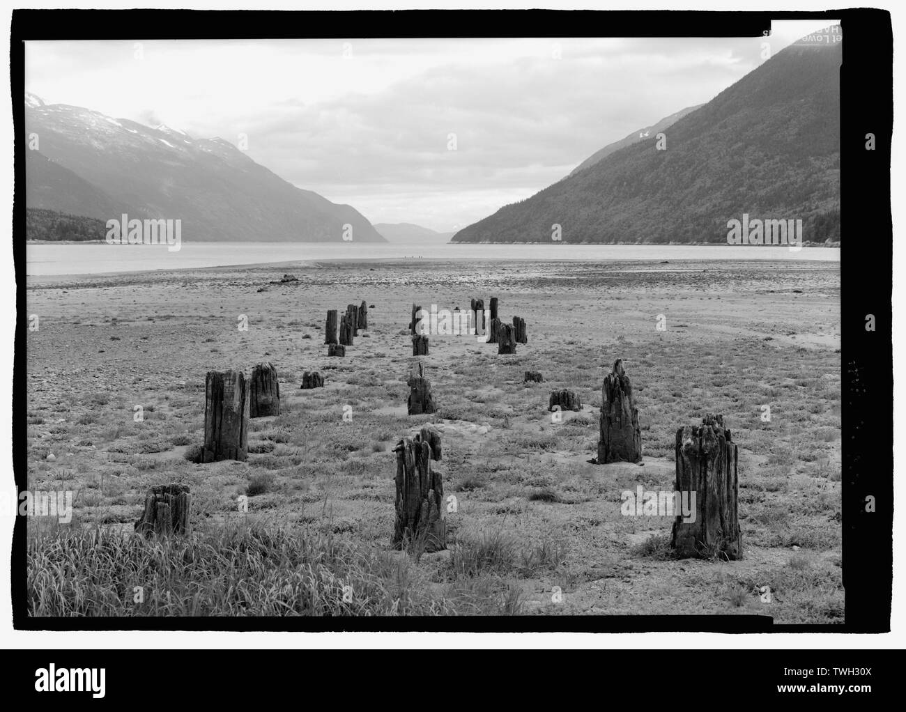 Posti rimanenti al Dock Dyea guardando a sud verso Taya ingresso. - Dyea Dock e Association (ruderi), Skagway, Skagway-Hoonah-Angoon Census Area, AK Foto Stock