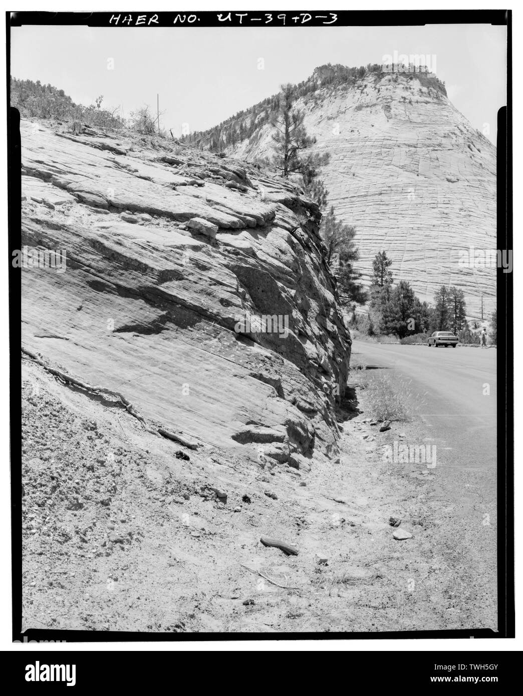 Strada lato sud del ponte, guardando verso sud. - Zion-Mount Carmel Highway, Co-op Creek bridge spanning Co-op Creek, springdale, Washington County, UT; Bureau di strade pubbliche; Osborne, Julie W, storico; Thallheimer, Arnold, fotografo Foto Stock
