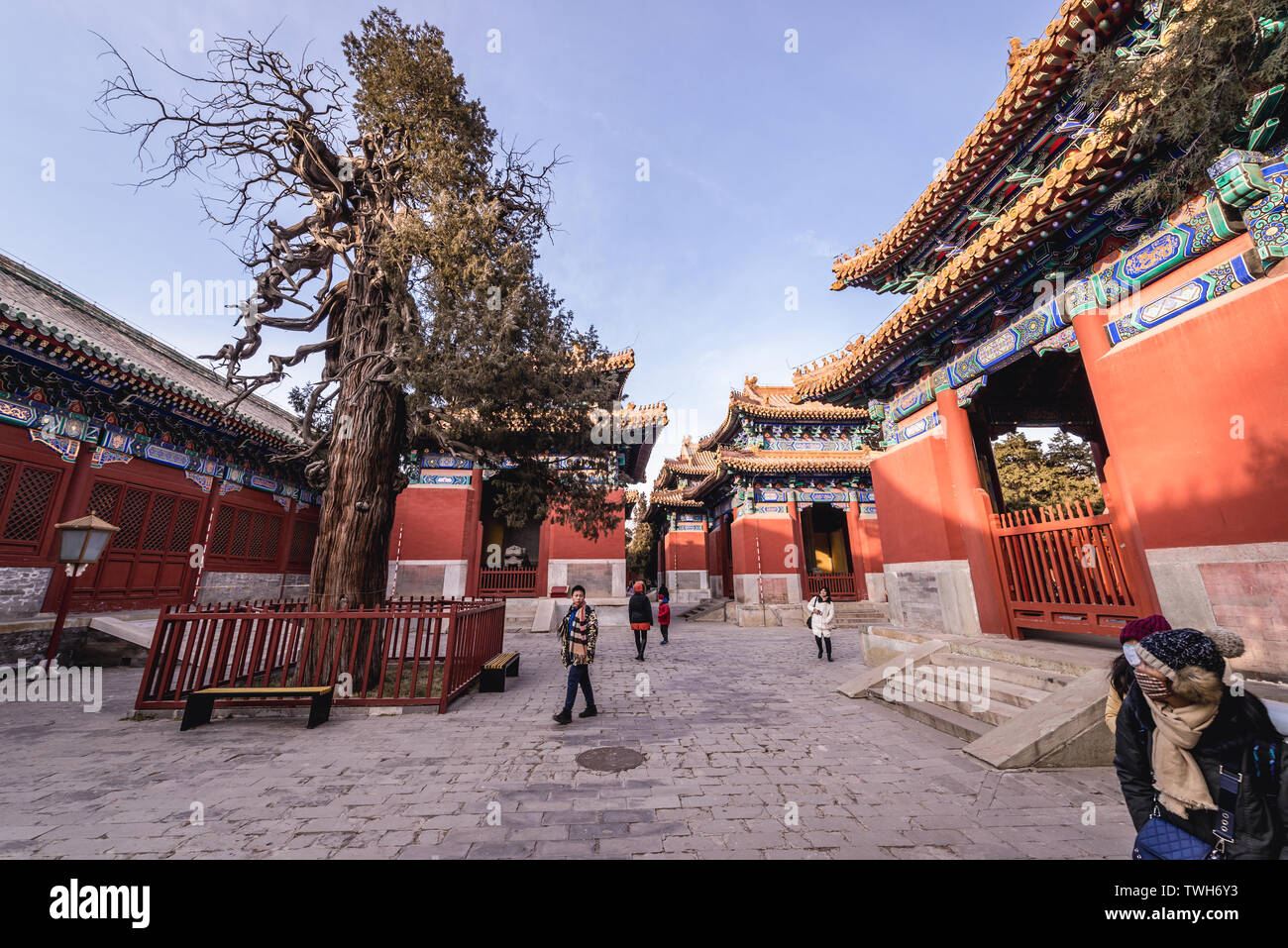 Cortile del Tempio di Confucio e Imperial College Museo di Pechino, Cina Foto Stock