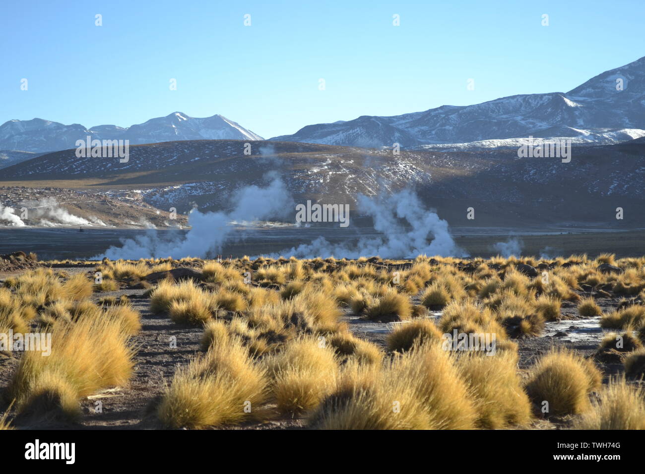 Campo di geyser nei pressi di El Tatio, il Deserto di Atacama, Cile settentrionale. Foto Stock Campo di geyser nei pressi di El Tatio, il Deserto di Atacama, Cile settentrionale. Foto Stock