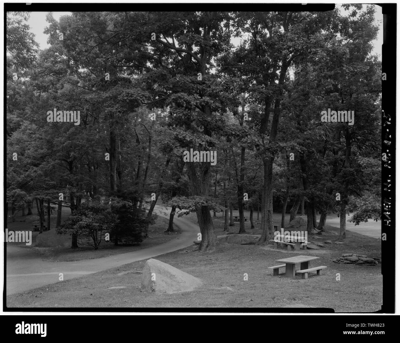 Manopola rocciose Recreation Area area pic-nic. Vista dei tavoli da pic-nic impostato tra le alette di roccia e la stretta strada di servizio. Guardando a nord-nord-est. - Blue Ridge Parkway, tra il Parco Nazionale di Shenandoah e Great Smoky Mountains, Asheville, Buncombe County, NC Foto Stock