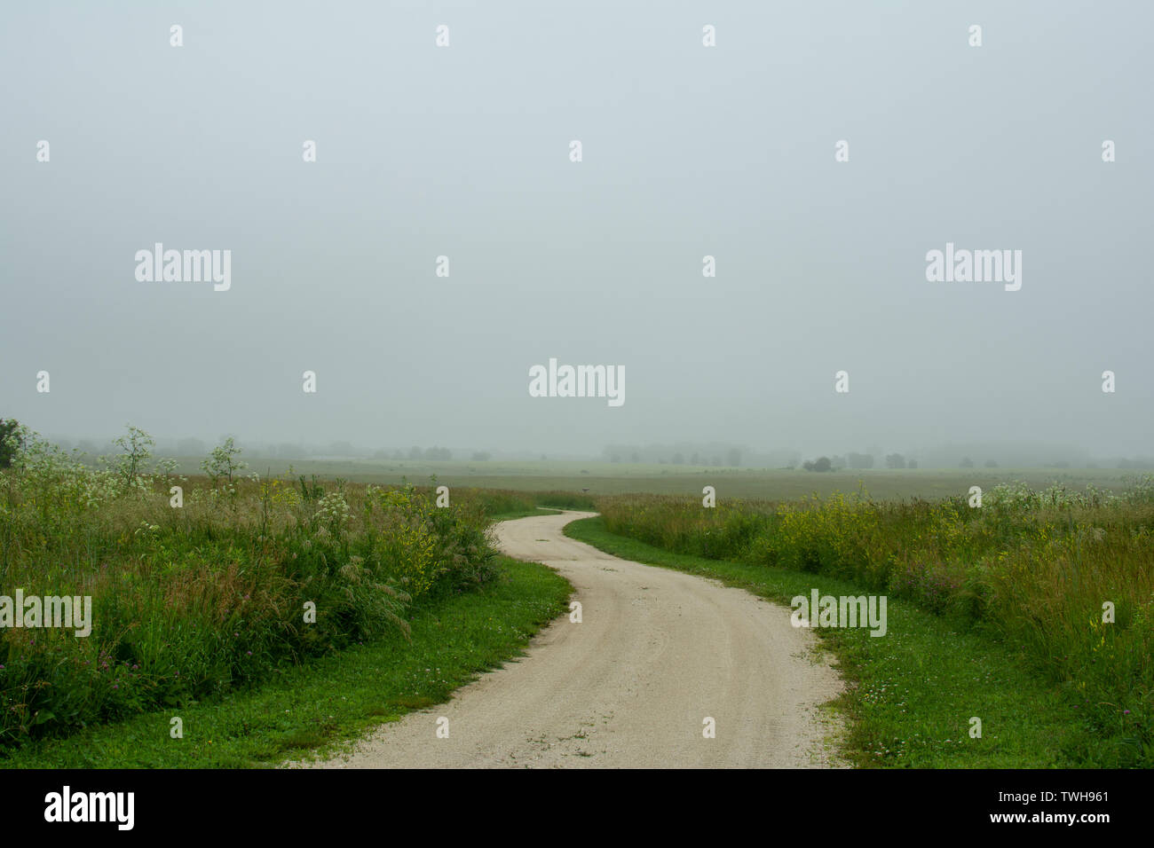 Vialetto attraverso la nebbia in una bella mattinata a Midewin Tall Grass Prairie, Wilmington, Illinois. Foto Stock