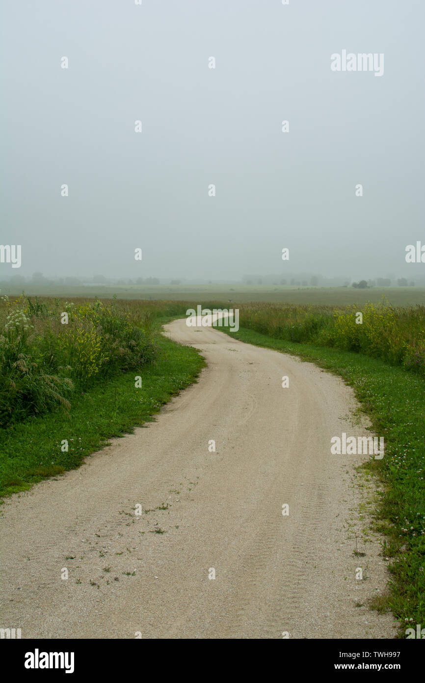 Vialetto attraverso la nebbia in una bella mattinata a Midewin Tall Grass Prairie, Wilmington, Illinois. Foto Stock