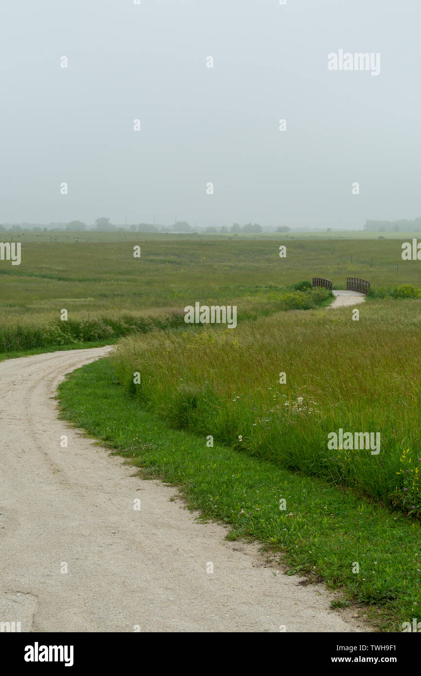 Vialetto attraverso la nebbia in una bella mattinata a Midewin Tall Grass Prairie, Wilmington, Illinois. Foto Stock