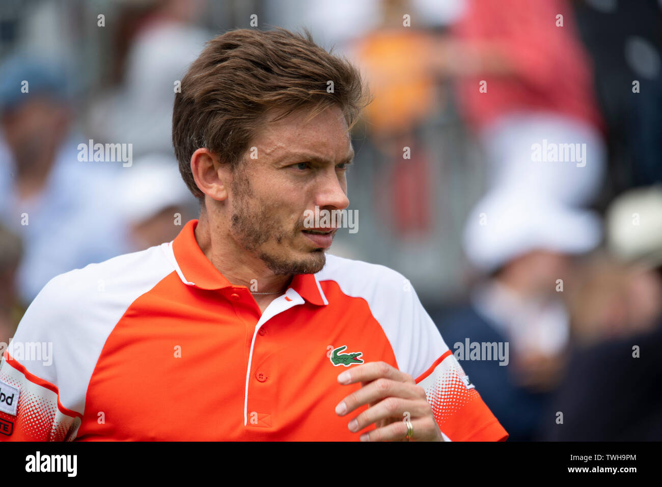 La Queens Club di Londra, Regno Unito. Xx Giugno 2019. Il giorno 4 della febbre campionati ad albero. Il numero di semi di 7 Stan Wawrinka (SUI) viene messo K.O. da Nicolas MAHUT (FRA) sul Centre Court, Mahut vincendo 3-6 7-5 7-6 (2), per un posto nei quarti di finale. Credito: Malcolm Park/Alamy Live News. Foto Stock