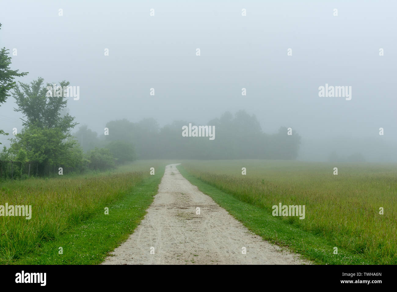 Vialetto attraverso la nebbia in una bella mattinata a Midewin Tall Grass Prairie, Wilmington, Illinois. Foto Stock