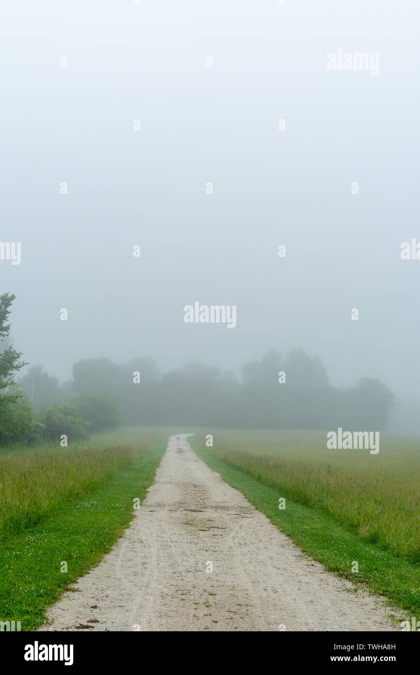 Vialetto attraverso la nebbia in una bella mattinata a Midewin Tall Grass Prairie, Wilmington, Illinois. Foto Stock