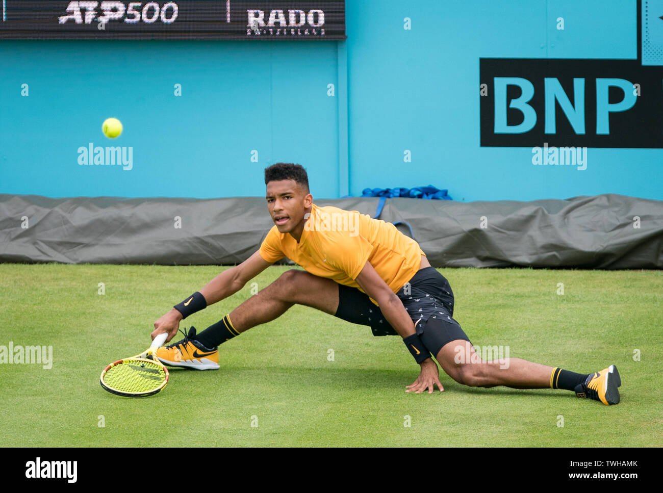 Londra, Regno Unito. Xx Giugno, 2019. Felix ALIASSIME DELLA COCLEA del Canada durante il giorno quattro della febbre campionati ad albero tennis presso il Queen's Club di Londra, Inghilterra il 20 giugno 2019. Foto di Andy Rowland. Credito: prime immagini multimediali/Alamy Live News Foto Stock