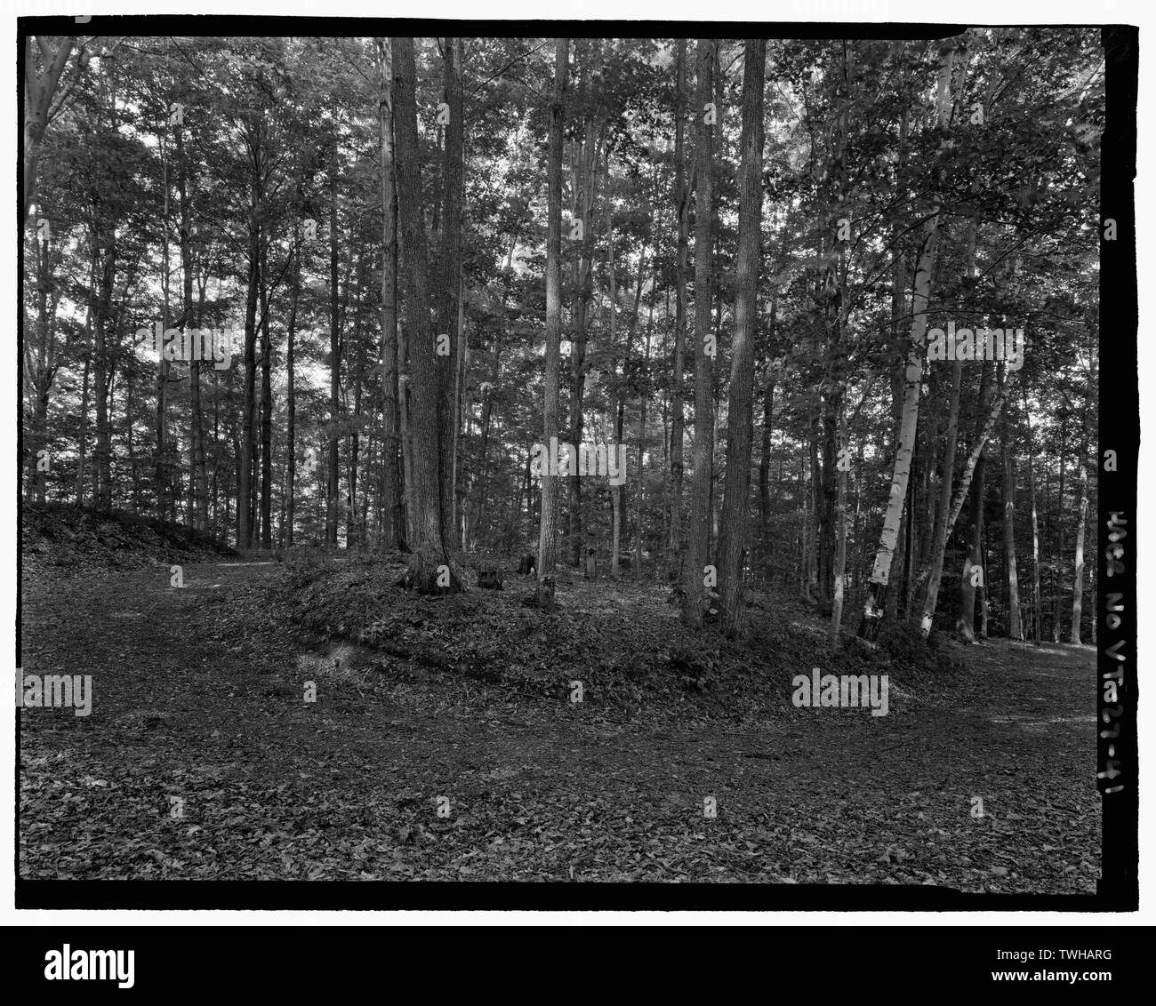 S-Curve lungo North Ridge Road, superiore sweep. Visualizzare NNE - Marsh-Billings-Rockefeller Carrello strade, Woodstock, Windsor County, VT; Copeland, Robert Morris; Hutcheson, Martha Brookes marrone; Lynch, Bryan J; francese, Maria; Marsh, Charles; Marsh, George Perkins; Billings, Federico; Rockefeller, Laurance Spelman; Cady, James; Billings, Sophia Wetherbee; Billings, Oel; Billings, Laura; Billings, Julia Parmly; Downing, Andrew Jackson; Dana, Henry S; Aitken, George; Billings, Maria Montagu; Billings, Elisabetta; Kittredge, Elsie; francese, John; Hitchcock, Elizabeth francese; Christianson, Justine, trasmettere Foto Stock
