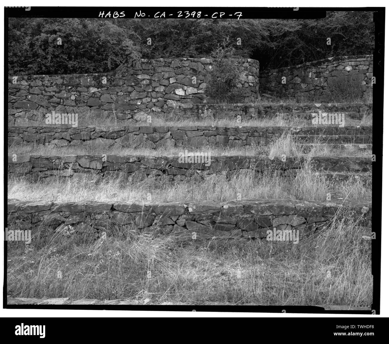 Terrazze a sedere vicino al West PARETE POSTERIORE - Campo di Hamilton, Anfiteatro, North Oakland Drive vicino oriente unità ospedaliere, Novato, Marin County, CA Foto Stock