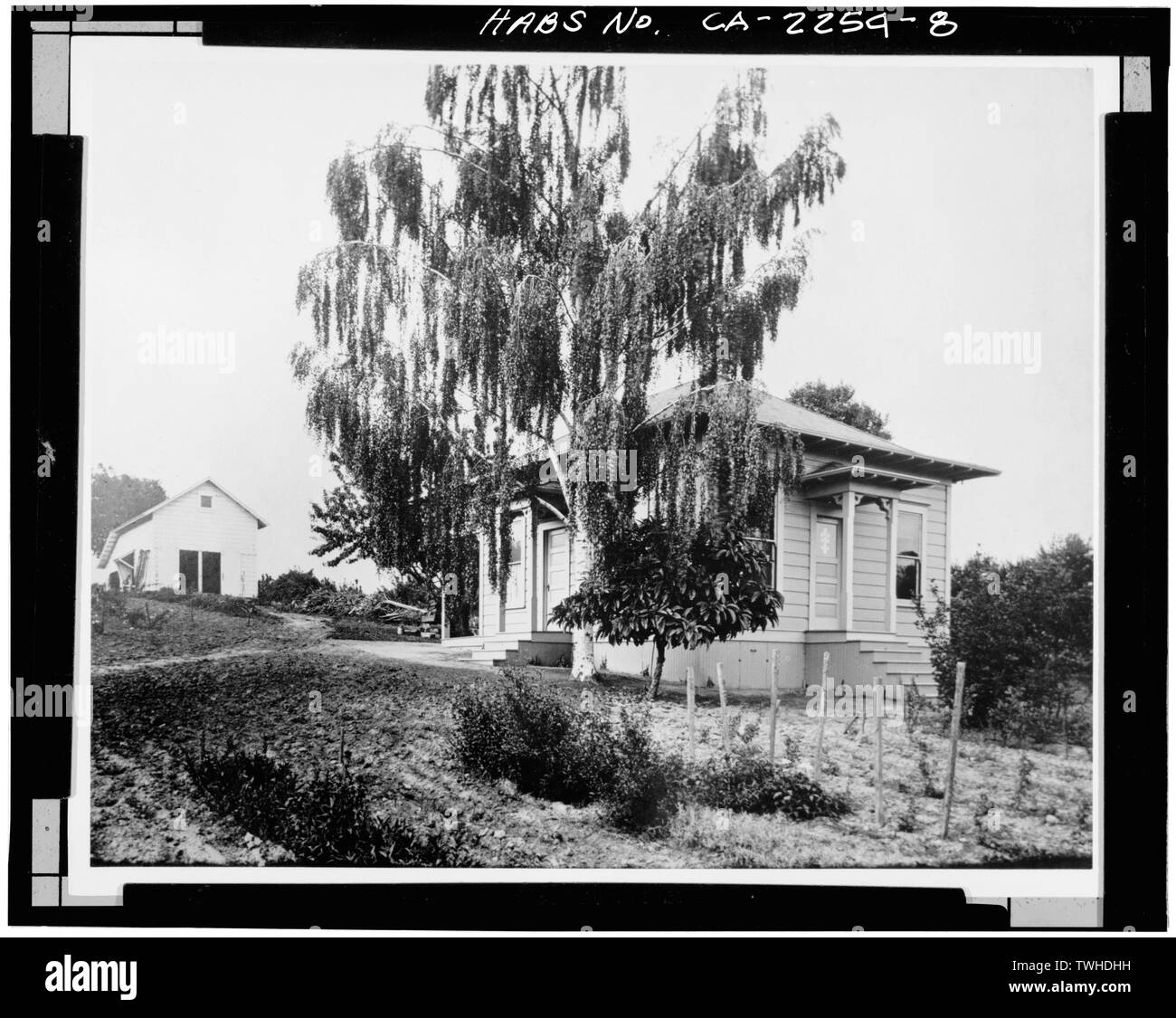 Secondo cottage. Il fienile. Nota PARTHENOCISSUS TRICUSPIDATA (BOSTON IVY) piantate intorno all edificio. Guardando verso sud-ovest. - Gold Ridge Farm, 7777 Bodega Avenue, Sebastopol, Sonoma County, CA Foto Stock
