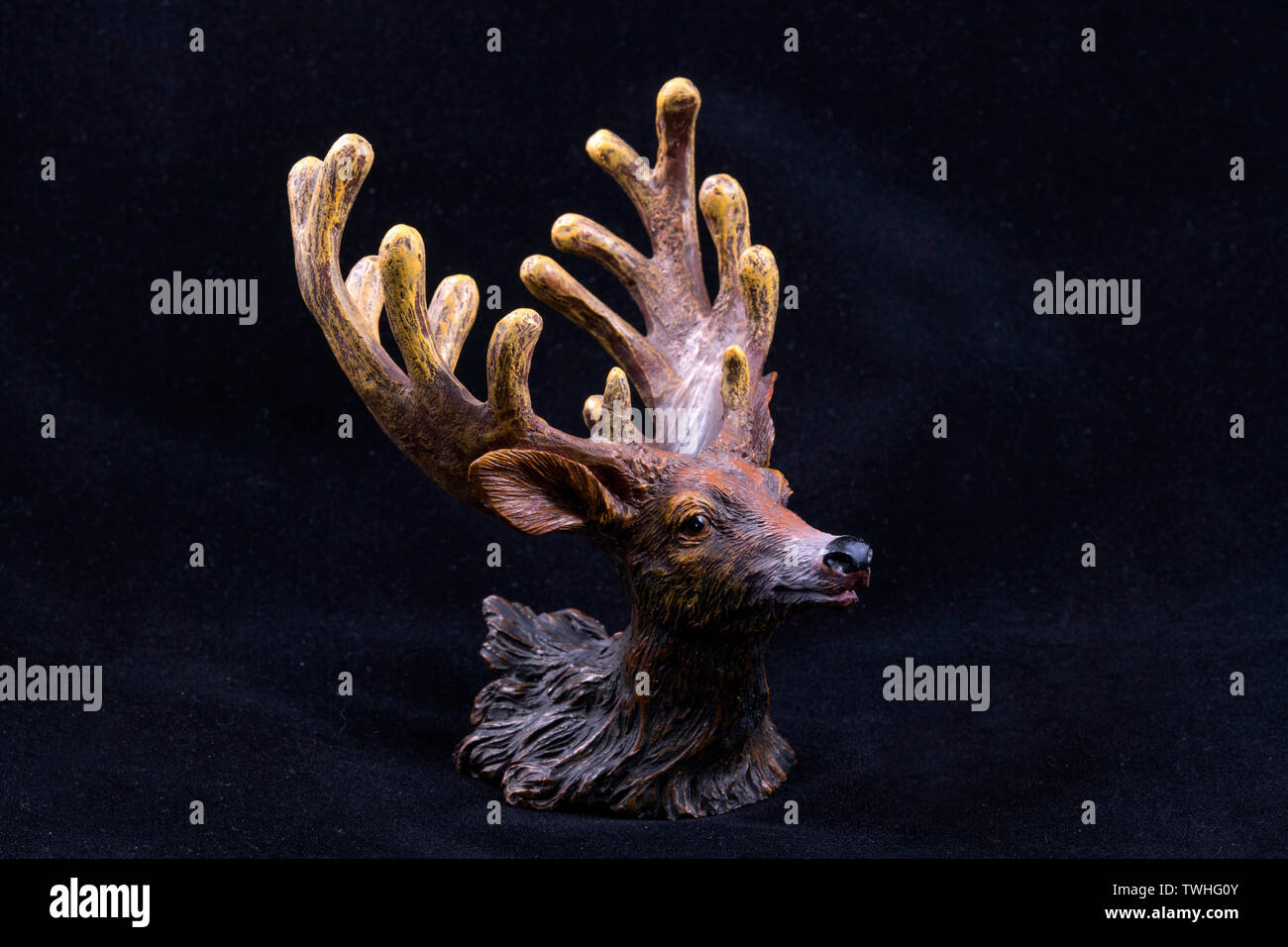 Testa di cervo Foto Stock