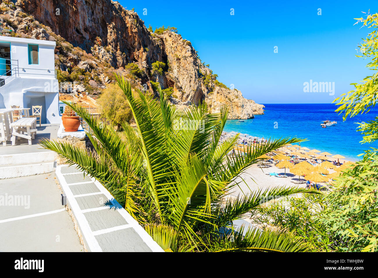 Palm Tree e taverna terrazza su Kyra Pynagia beach, Karpathos Island, Grecia Foto Stock