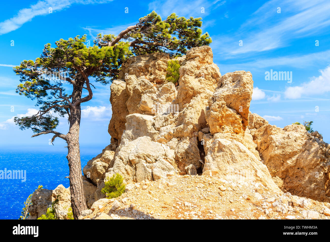 Pino e rocce sulla costa del mare di Karpathos Island, Grecia Foto Stock