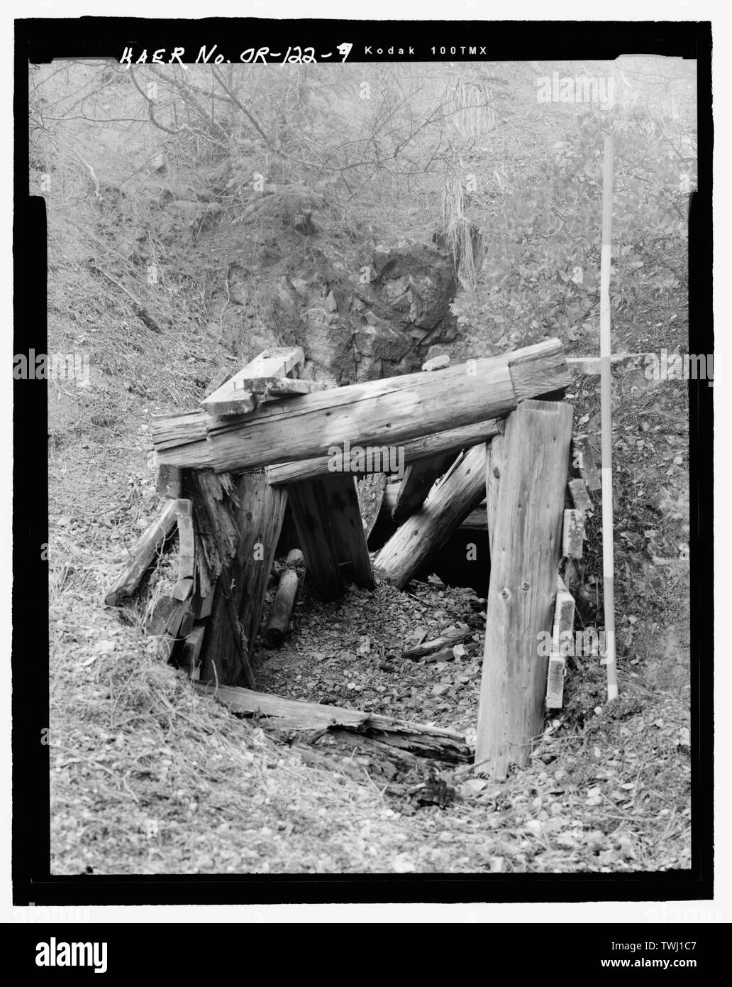Stessa vista come una fotografia o-122-8, senza intervallo pole - Miniera di Steamboat, pendio sud-est di Steamboat Mountain, a ovest di giunzione della foresta di strade di servizio 1000300 e 1000365, Jacksonville, Contea di Jackson, o Foto Stock