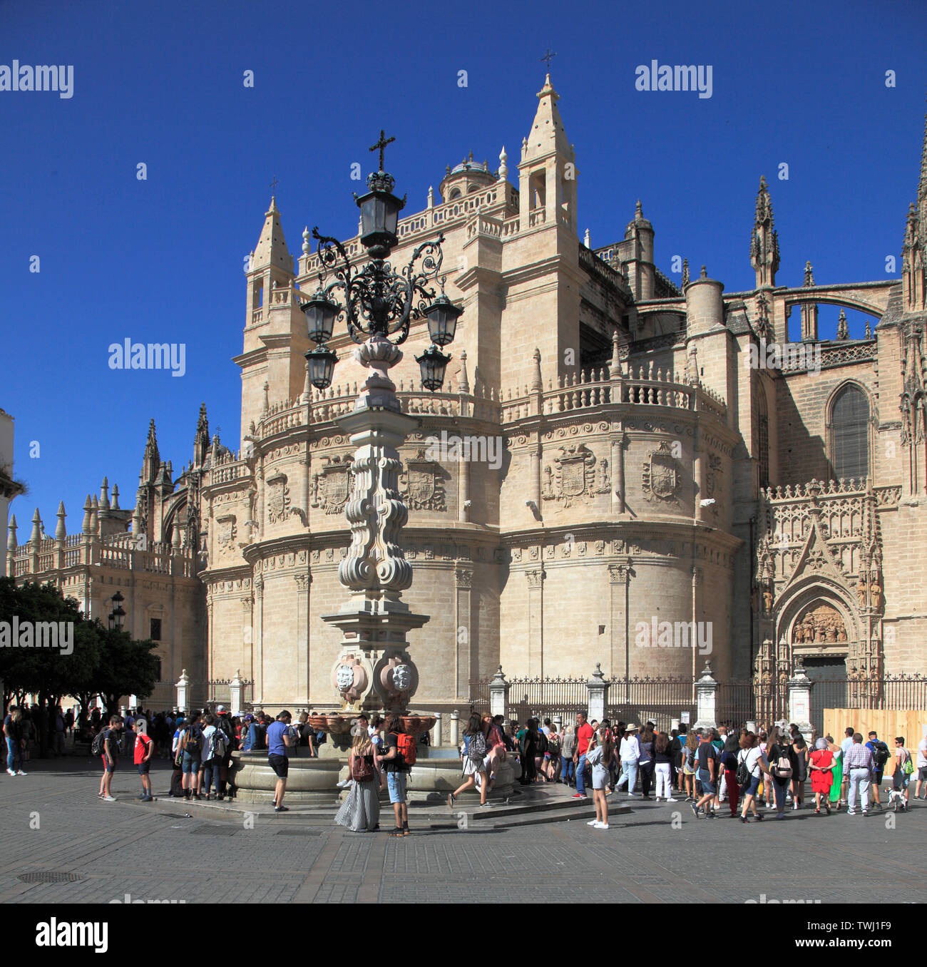 Spagna; Andalusia; Siviglia; Cattedrale, fontana, Plaza Virgen de los Reyes, persone Foto Stock