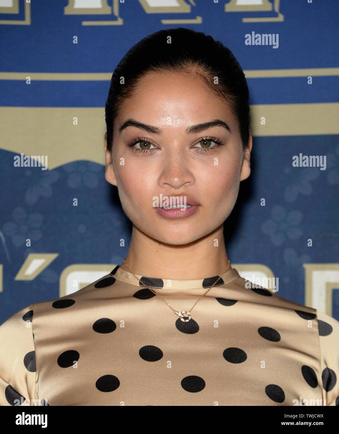 Brooklyn, NY, STATI UNITI D'AMERICA. Xx Giugno, 2019. Shanina Shaik presso gli arrivi per la terza edizione MAISON ST-GERMAIN, il terminale Greenpoint magazzino, Brooklyn, NY Giugno 20, 2019. Credito: Eli Winston/Everett raccolta/Alamy Live News Foto Stock