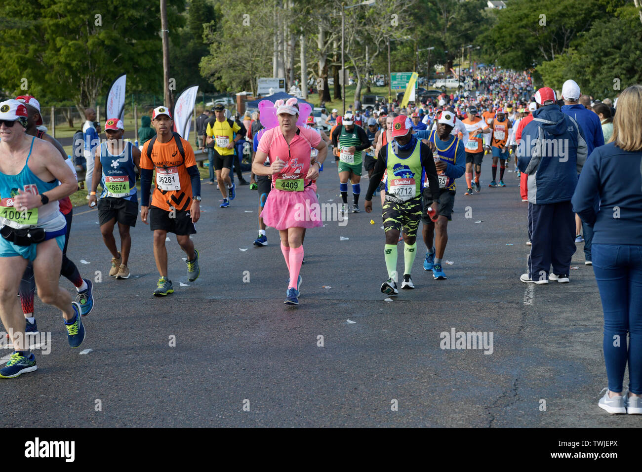 Durban, Sud Africa, uomo adulto in esecuzione nel 2019 compagni Marathon, runner in rosa in costume fata, persone, allevatore, consapevolezza, della carità Foto Stock