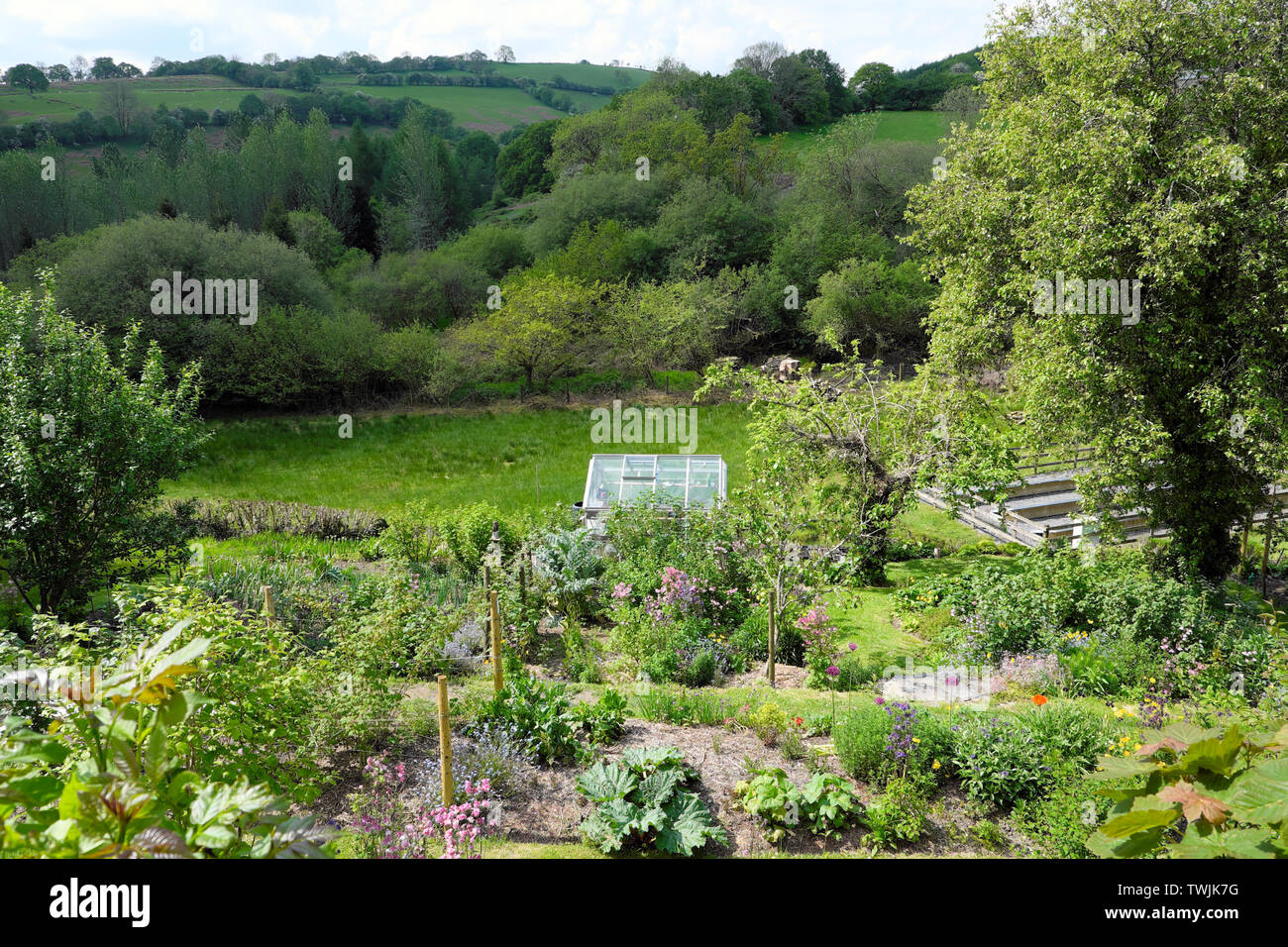 Vista su ortaggi e fiori che crescono nel giardino e la serra nel paesaggio Carmarthenshire campagna nel maggio 2019 Wales UK KATHY DEWITT Foto Stock