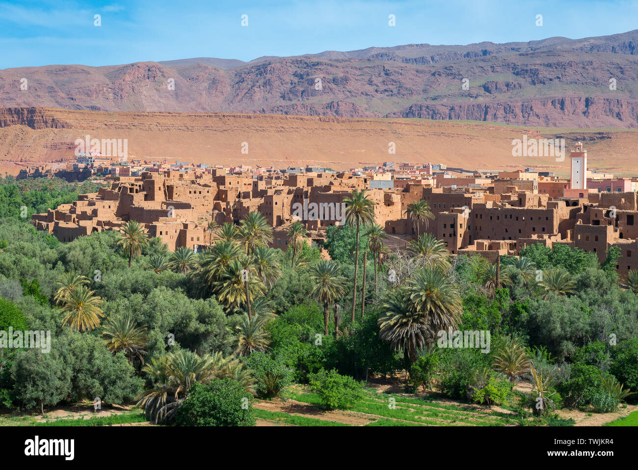 Città e oasi di Tinerhir, Marocco Foto Stock