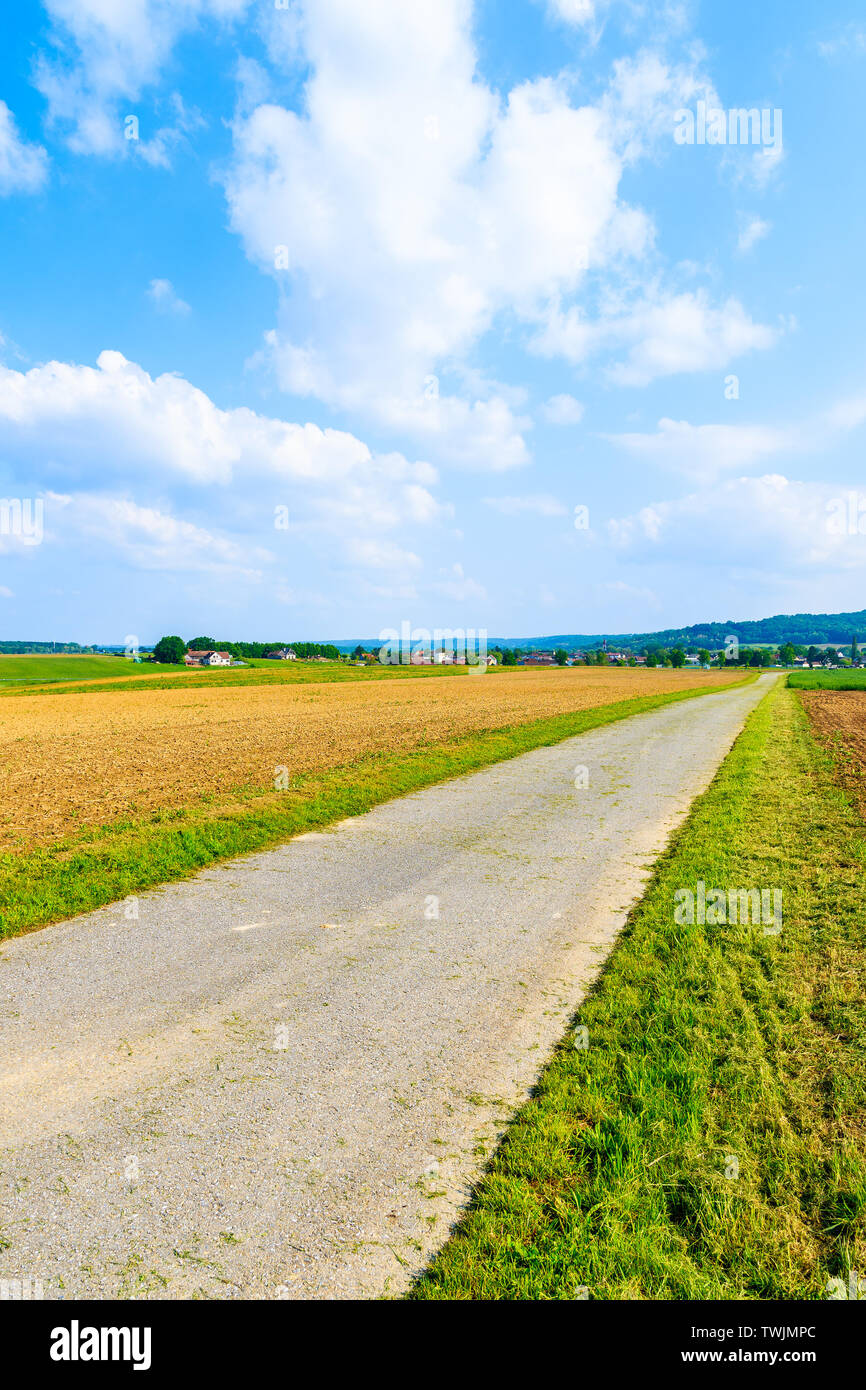 Strada rurale e campi verdi in primavera paesaggio di Burgerland vicino villaggio Strem, Austria Foto Stock