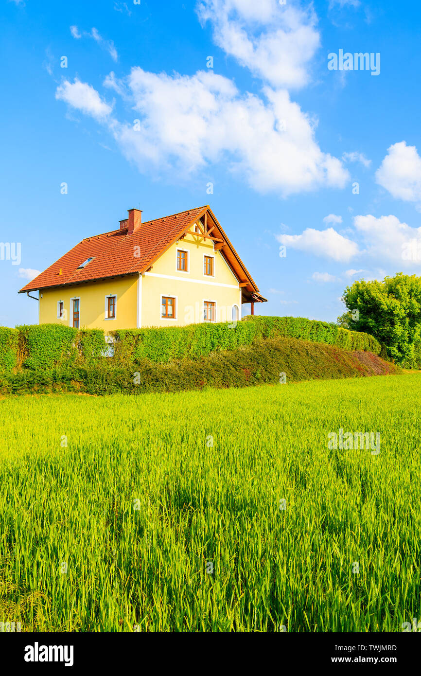 Giallo casa tradizionale con il rosso tetto di tegole sul prato verde nella primavera del paesaggio di Burgerland nel villaggio Strem, Austria Foto Stock