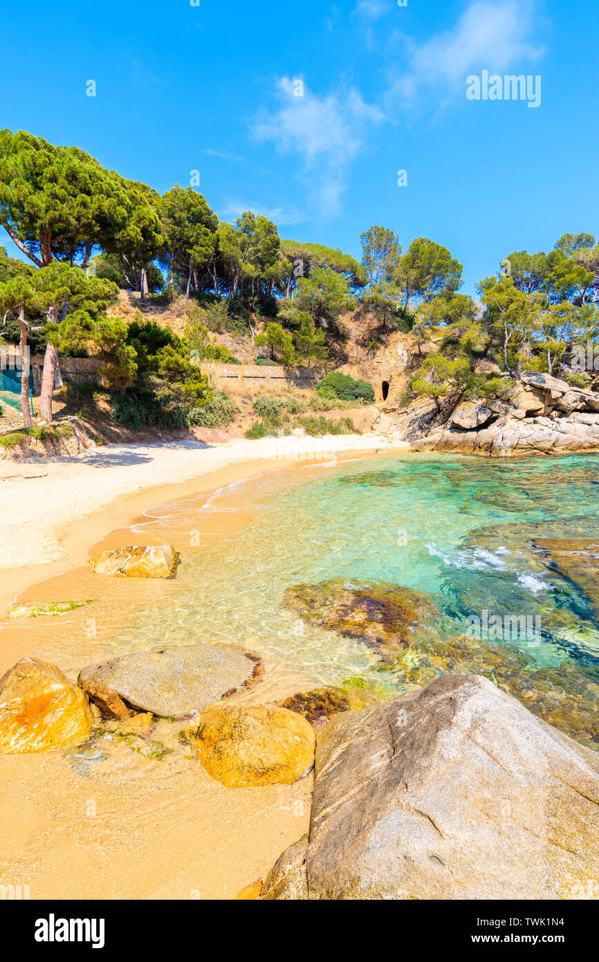 Sabbia idilliaca Cala Pi spiaggia vicino Cap Roig, Costa Brava, Spagna Foto Stock