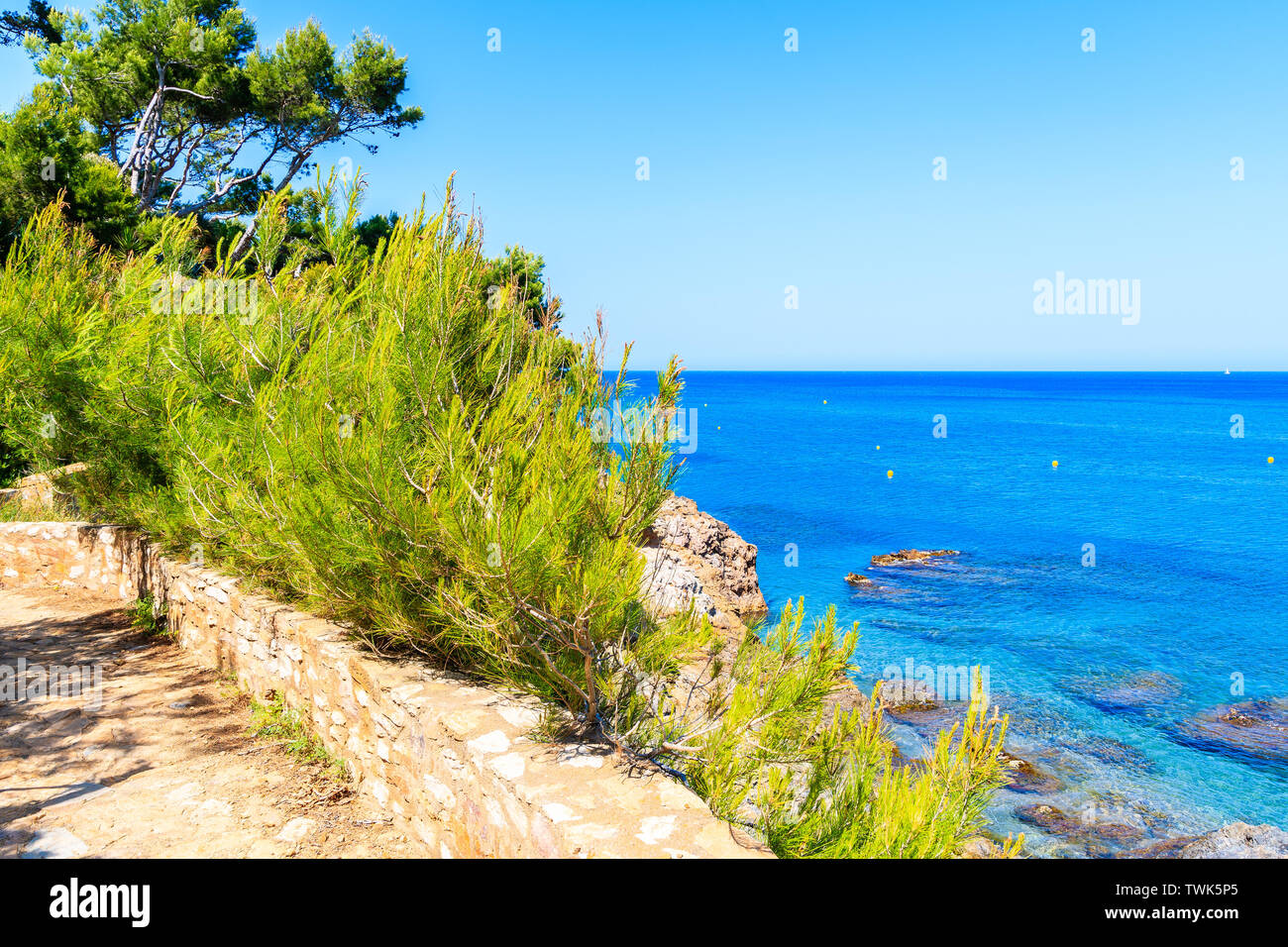 Piante verdi sul sentiero costiero di bella baia e la spiaggia di Sa Riera village, Costa Brava, Spagna Foto Stock