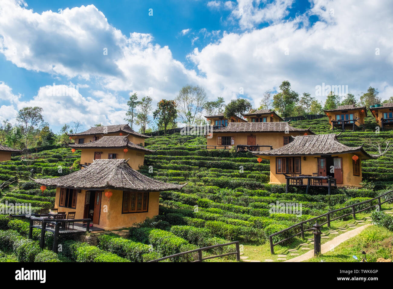 Punto di vista resort Casa di terra nella piantagione di tè a lee divieto di vino rak Thai,Mae Hong Son,thailandia Foto Stock