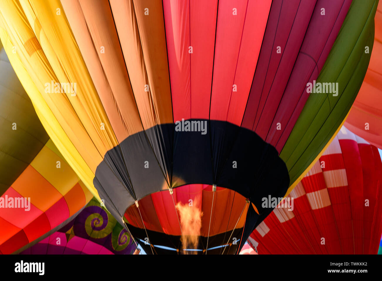Colorate mongolfiere con accensione di un gonfiabile in festival annuale Foto Stock