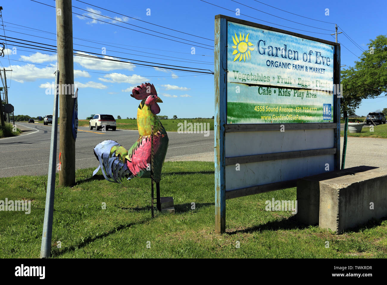 Azienda agricola biologica di forcella del nord orientale di Long Island New York Foto Stock