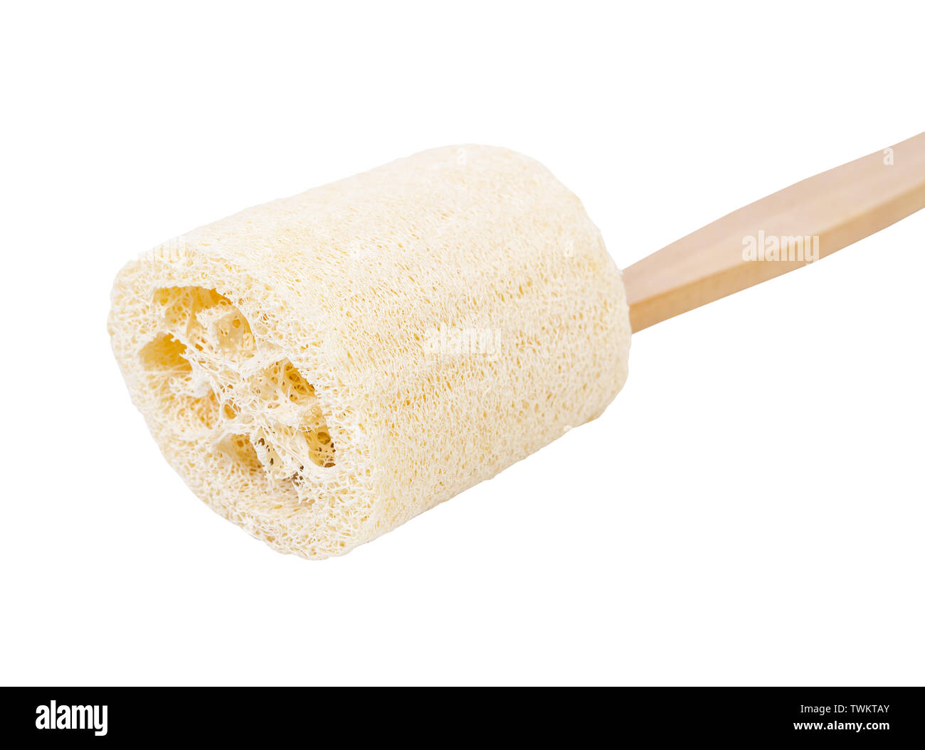 Luffa spugna naturale per il corpo rimuovere sporco e pelle morta isolati su sfondo bianco Foto Stock