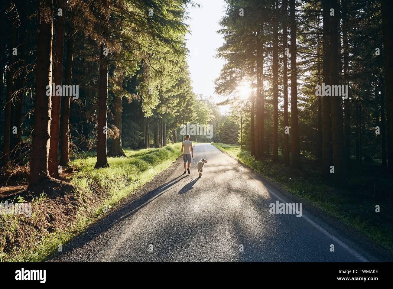 Estate con il cane. L uomo e il suo labrador retriever camminando sulla strada nella foresta contro il bellissimo tramonto. Foto Stock