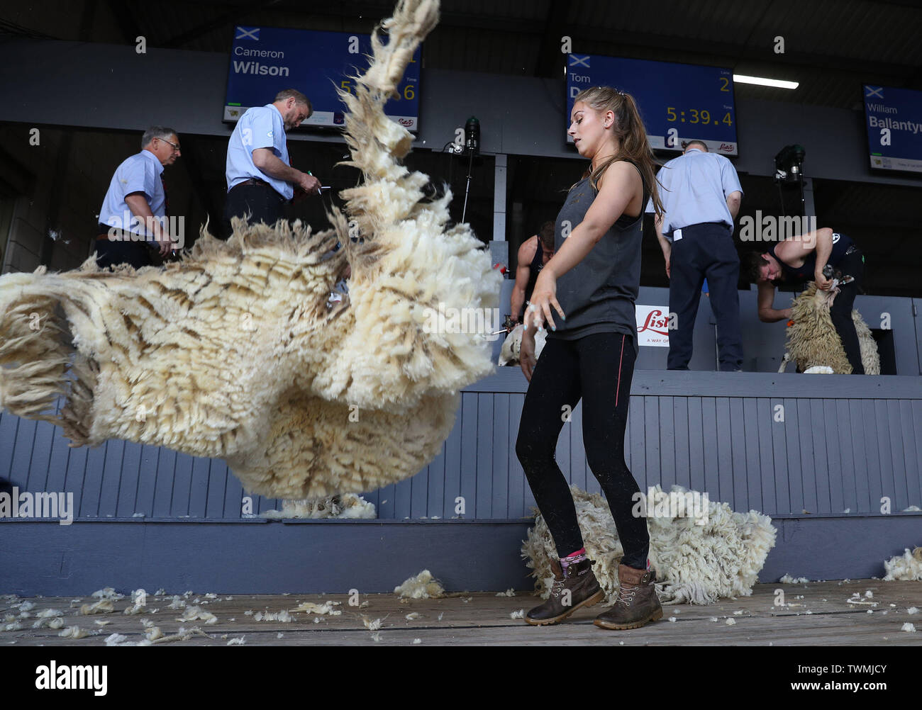 La lana di pecora viene lanciata in aria durante un giovani agricoltori tosatura delle pecore concorso al Royal Highland Show che si terrà a Ingliston a Edimburgo. Foto Stock