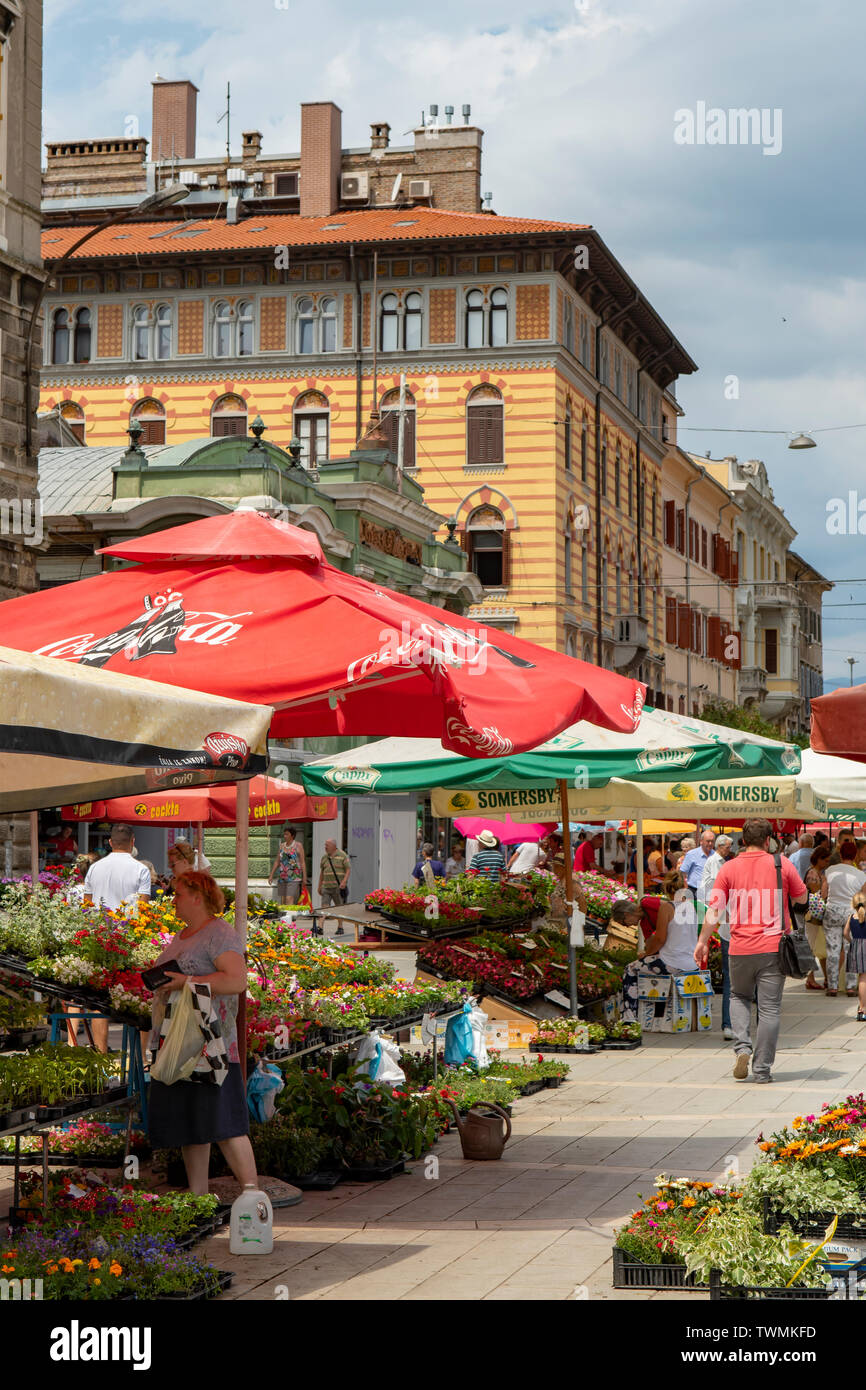 Mercato giornaliero a Rijeka, Croazia Foto Stock