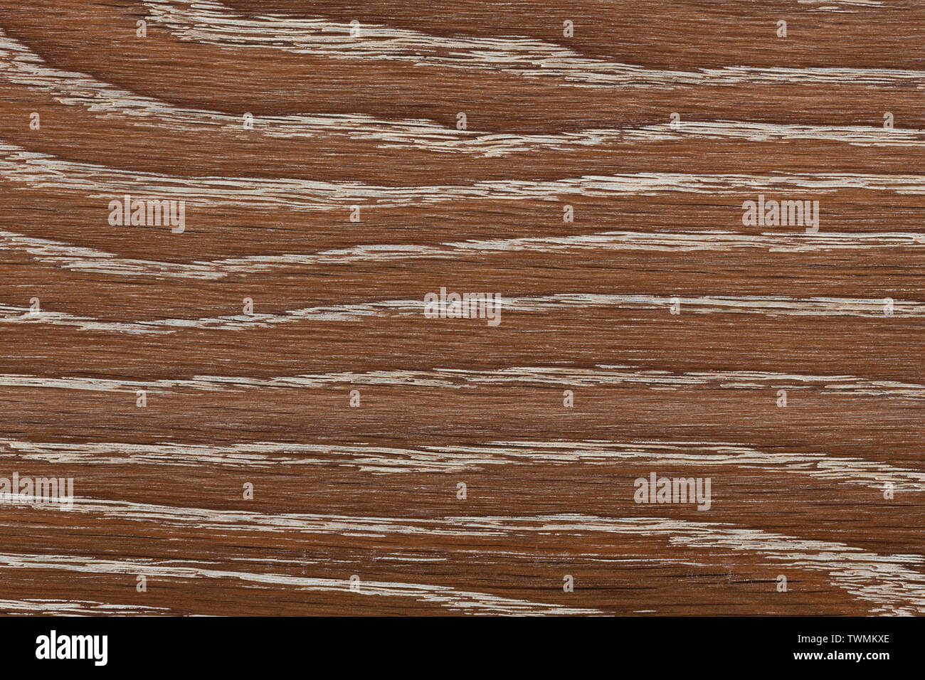 Texture di legno con schema naturale per le opere d'arte. Foto Stock